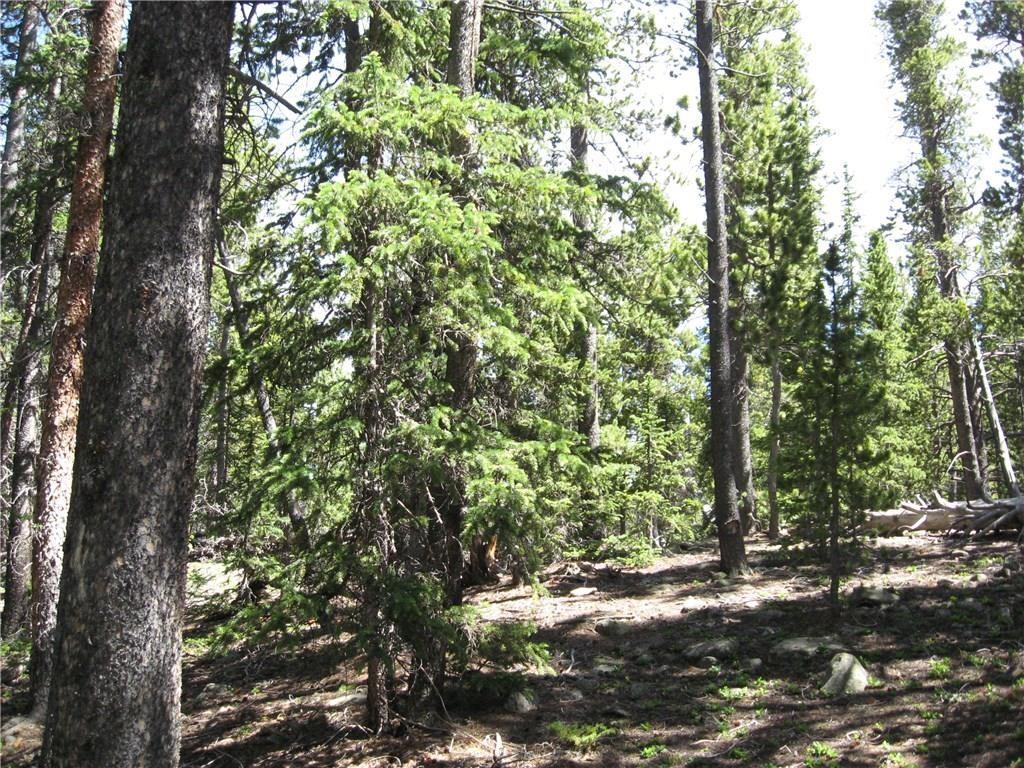Tbd Royce Road Fairplay, CO 80440 - Photo 15 of 16 Gallery Image 15
