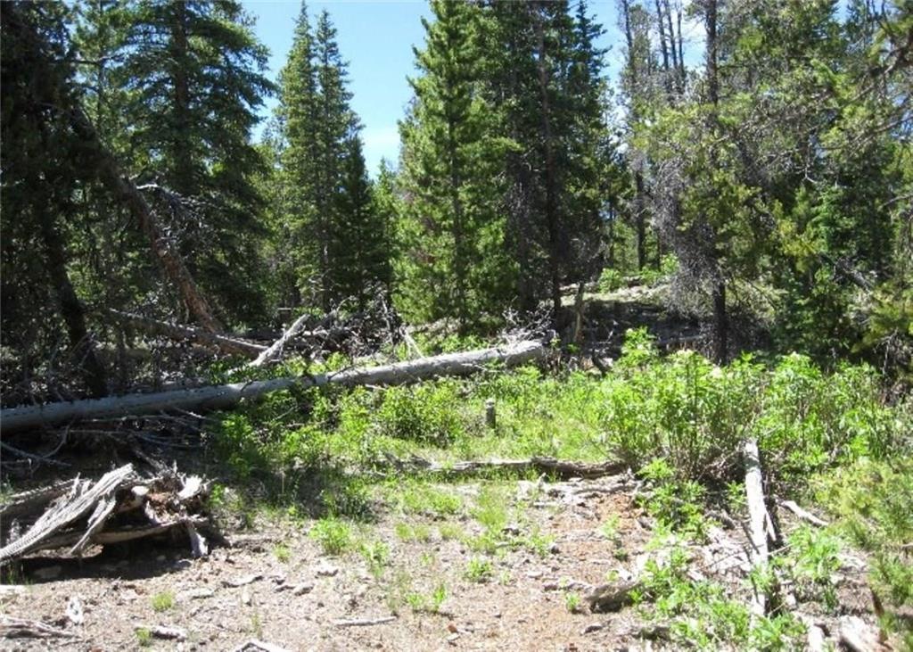 Tbd Royce Road Fairplay, CO 80440 - Photo 3 of 16 Gallery Image 3
