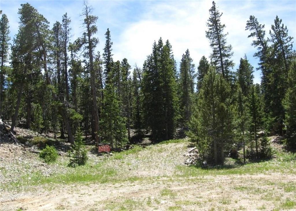 Tbd Royce Road Fairplay, CO 80440 - Photo 4 of 16 Gallery Image 4