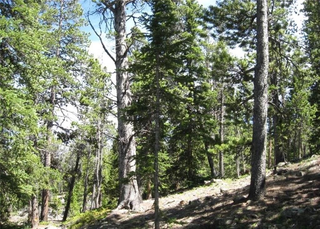 Tbd Royce Road Fairplay, CO 80440 - Photo 8 of 16 Gallery Image 8