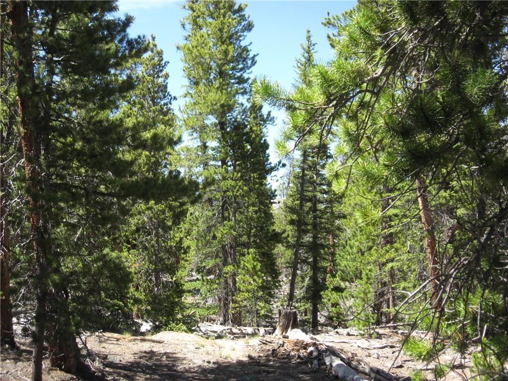 Tbd Royce Road Fairplay, CO 80440 - Photo 10 of 16 Gallery Image 10