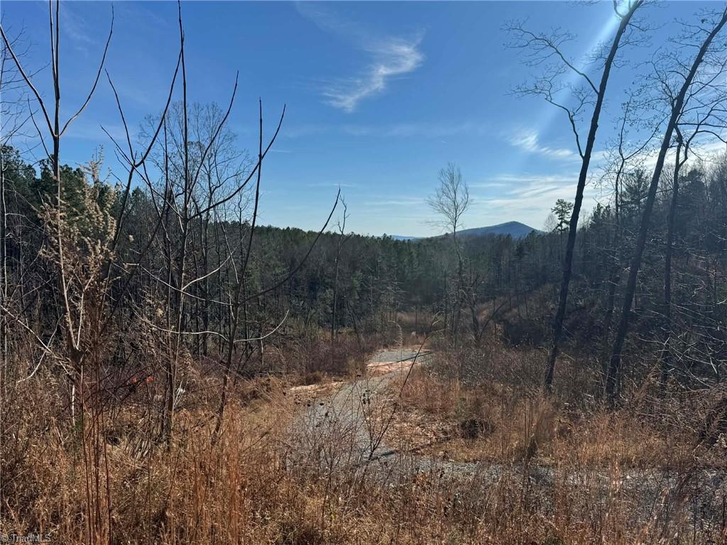 Tbd Old Railroad Grade Road Thurmond, NC 28683 - Photo 1 of 26