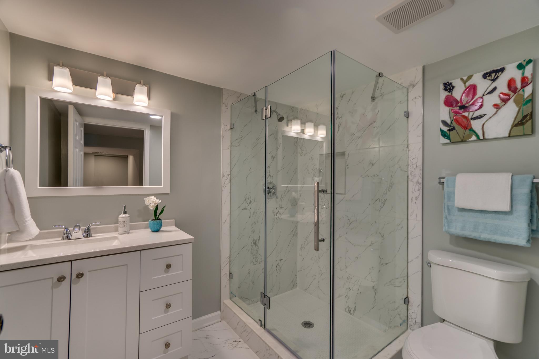 11517 Mapleview Drive Silver Spring, MD 20902 - Photo 16 of 18 a bathroom with a shower sink vanity and mirror