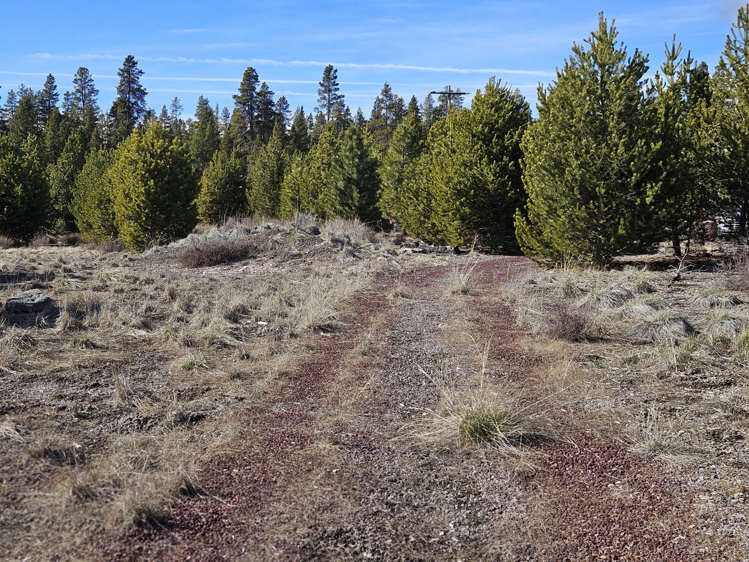 0 Kay Street, Unit 18 Chiloquin, OR 97624 - Photo 23 of 25 a view of a dry yard with trees in the background