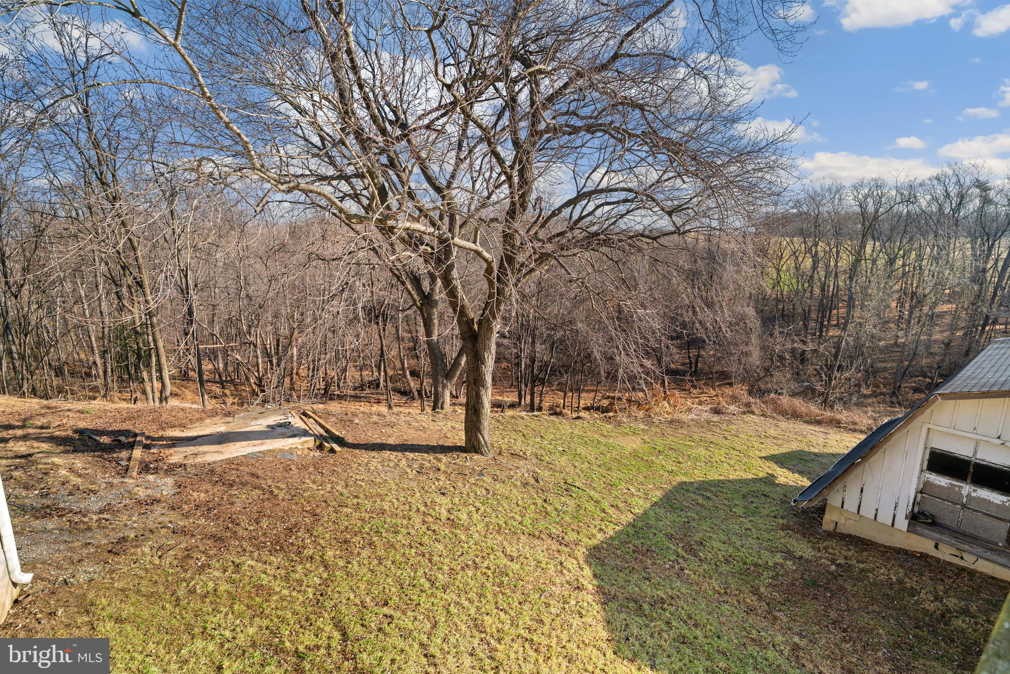 5209 Woodville Road Mount Airy, MD 21771 - Photo 44 of 90 a view of a yard with trees