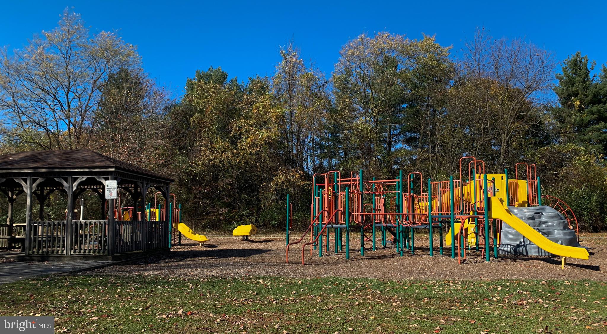 5209 Woodville Road Mount Airy, MD 21771 - Photo 83 of 90 a view of park with entertaining space