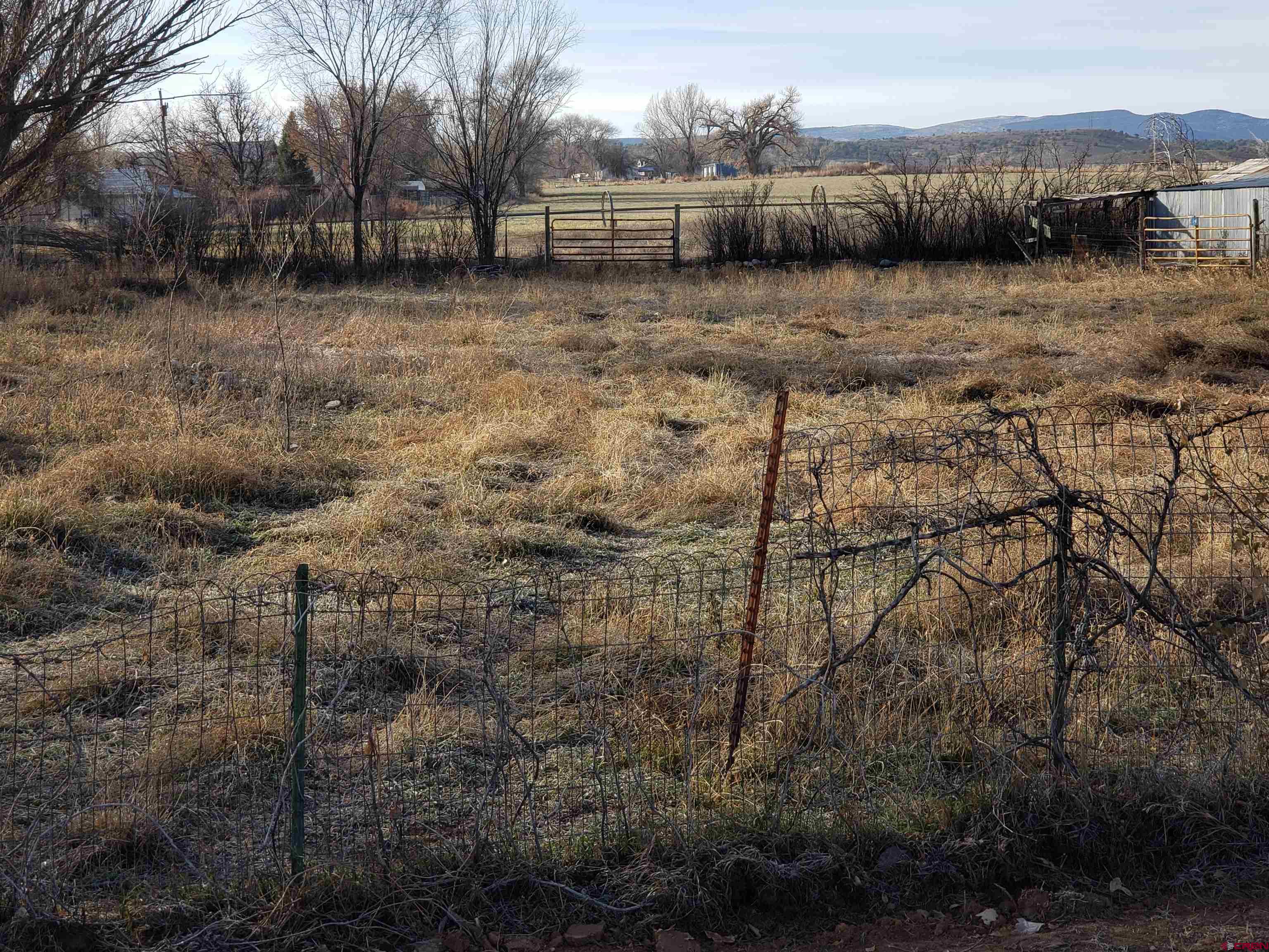 Tbd Cc Road Nucla, CO 81424 - Photo 1 of 3 a view of a backyard