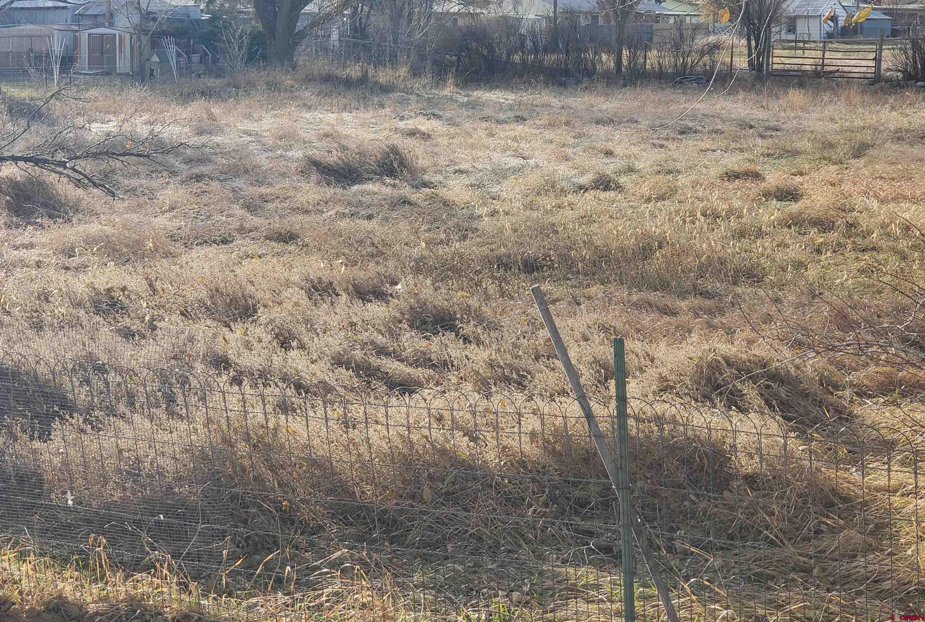 Tbd Cc Road Nucla, CO 81424 - Photo 2 of 3 a view of a yard