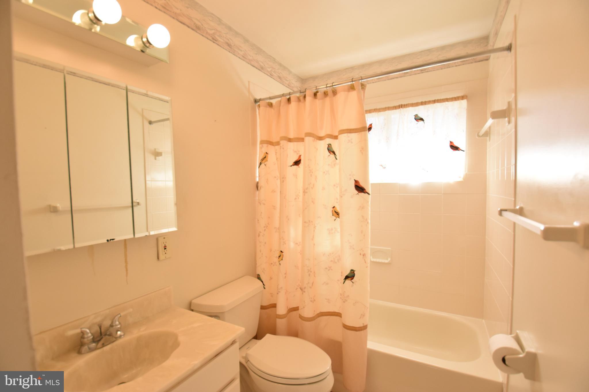 2421 Ellis Road Baltimore, MD 21234 - Photo 23 of 27 Full Bath