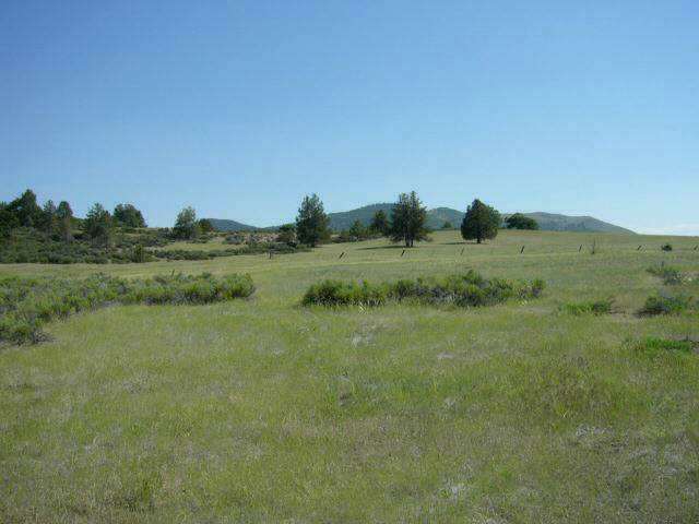 0 Ager Beswick Road Montague, CA 96064 - Photo 6 of 8 Gallery Image 6