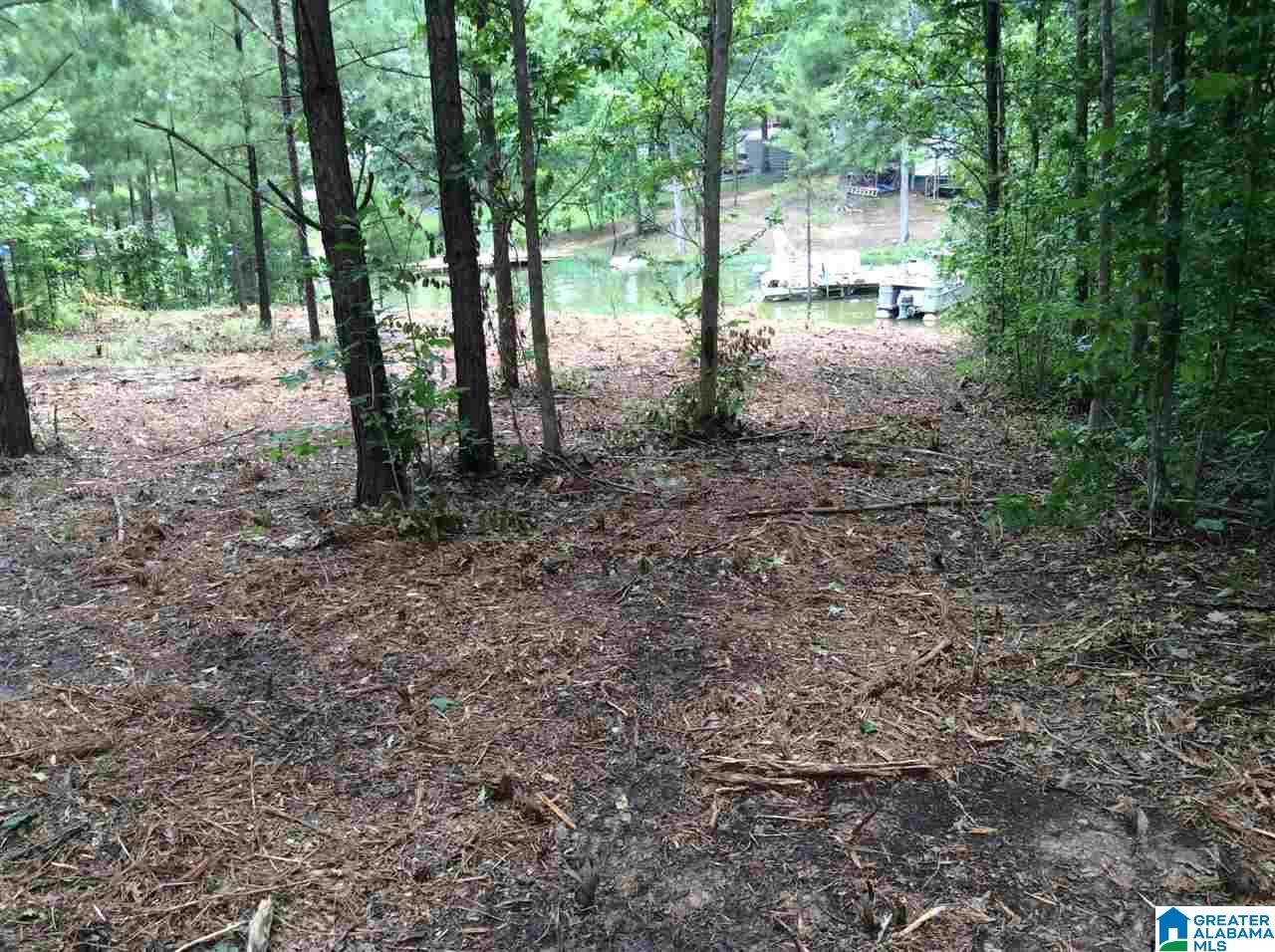 0 Sagebrush Road, Unit 28 Ashville, AL 35953 - Photo 10 of 14 Gallery Image 10