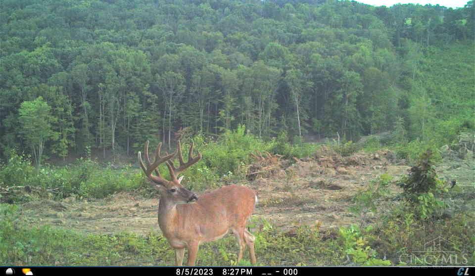 A Enley Road McDermott, OH 45652 - Photo 6 of 97