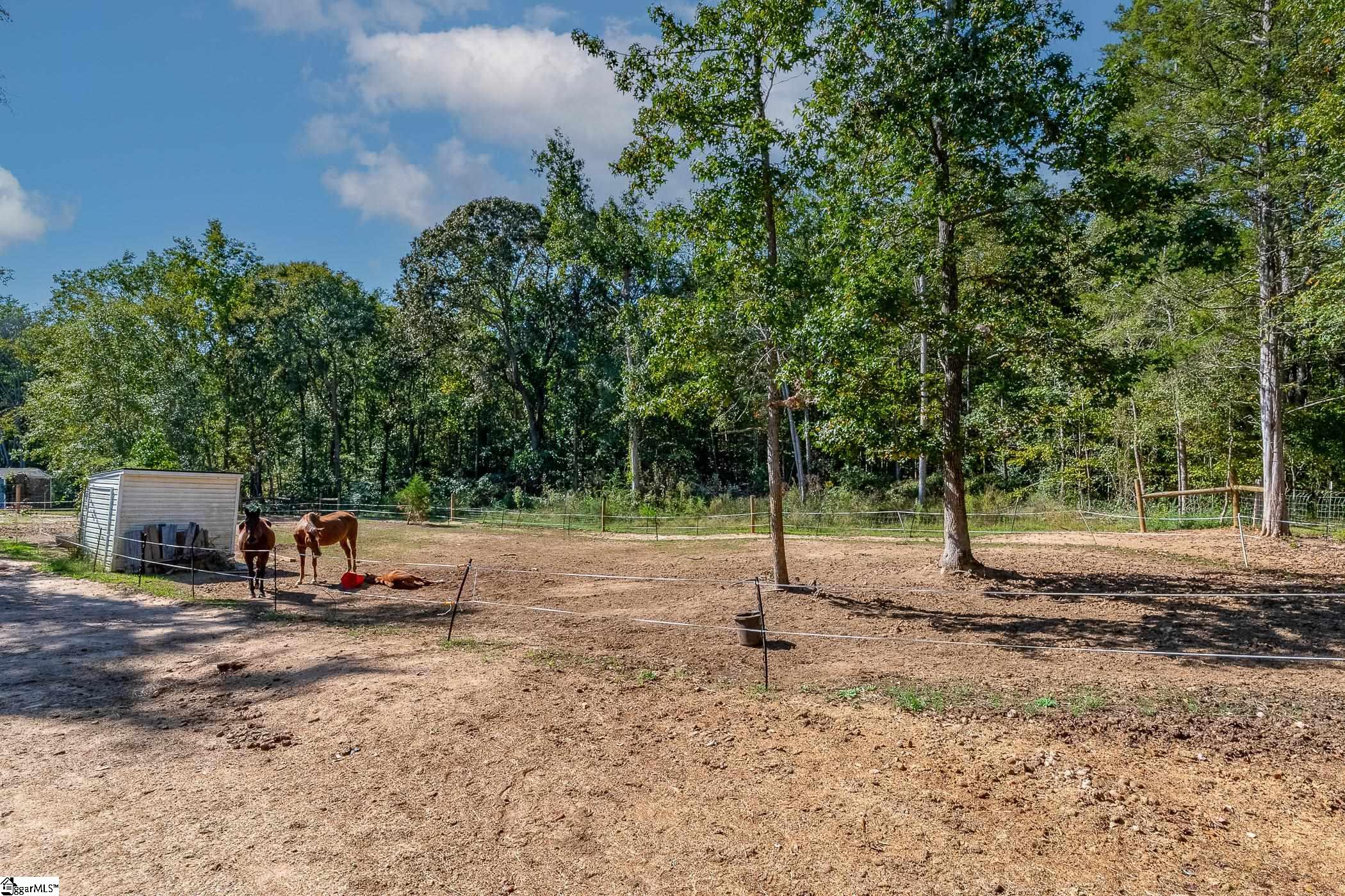 372 Power House Road Ware Shoals, SC 29692 - Photo 7 of 40