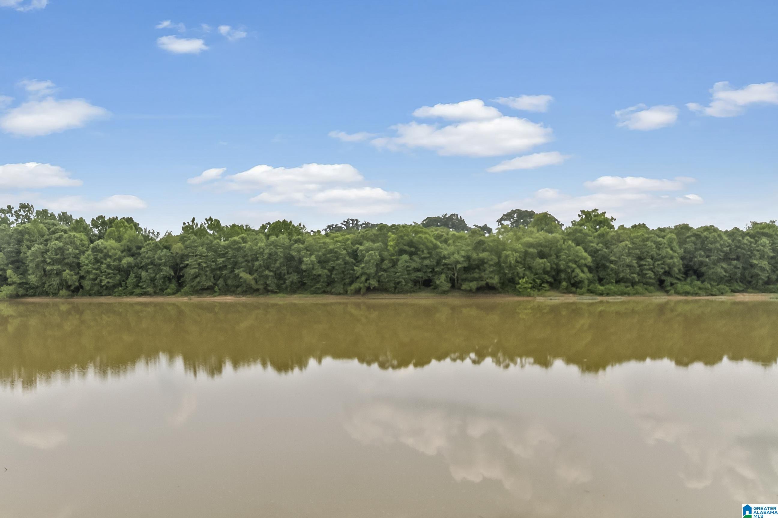 13615 Riverbend Road Moundville, AL 35474 - Photo 14 of 33