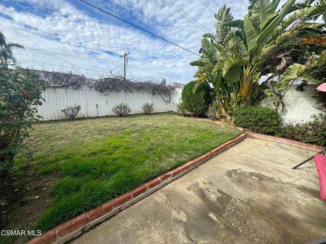 a view of a backyard with plants