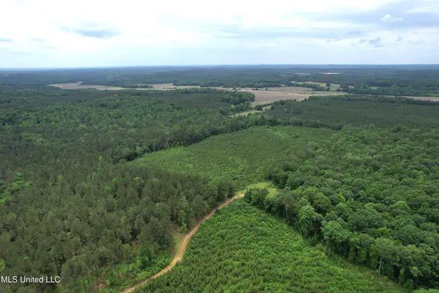 $212,850 | Alice Williams Road, Gore Springs, MS 38929