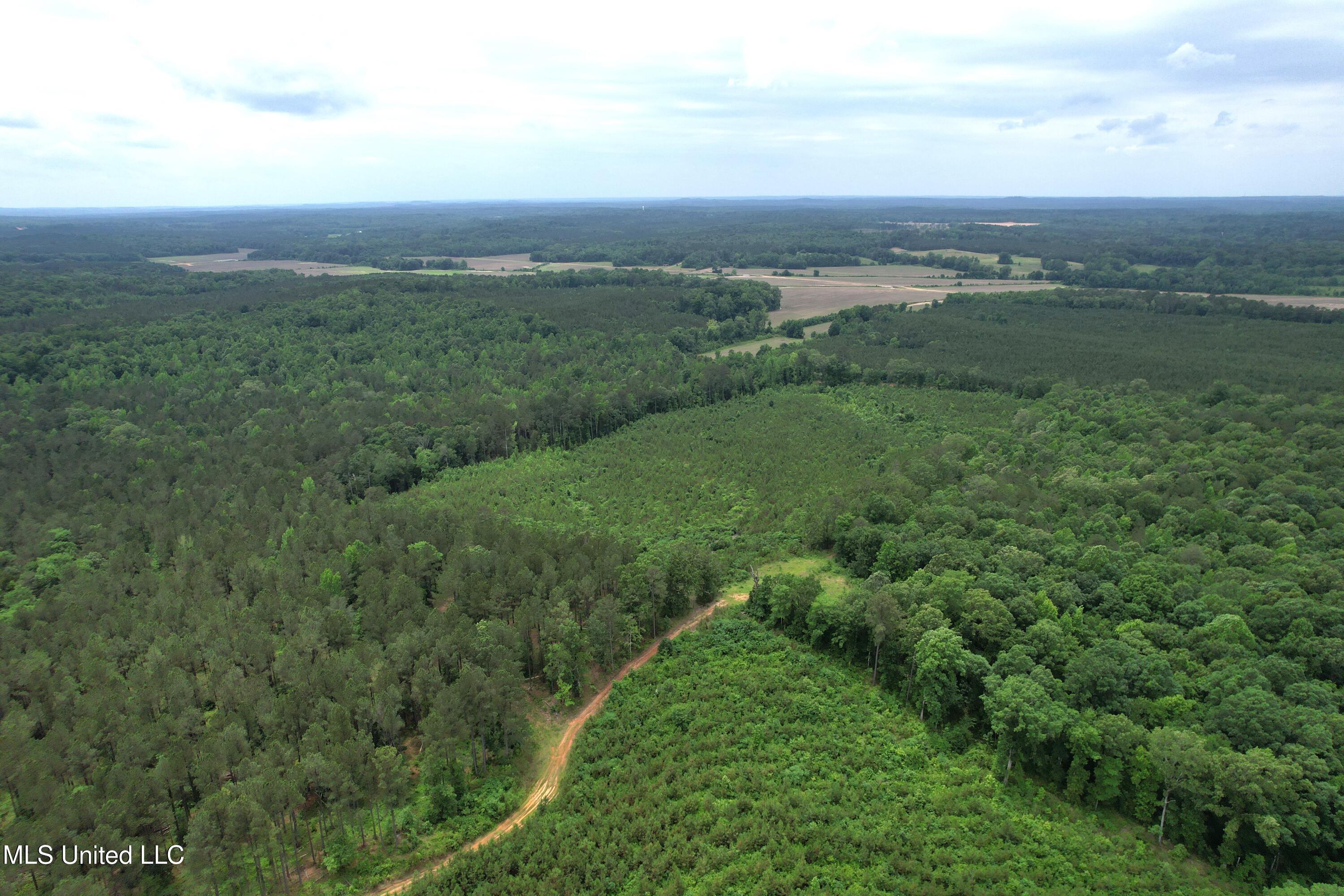 Alice Williams Road Gore Springs, MS 38929 - Photo 2 of 11 DJI_0743