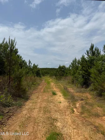 $243,726 | Alice Williams Road, Gore Springs, MS 38929