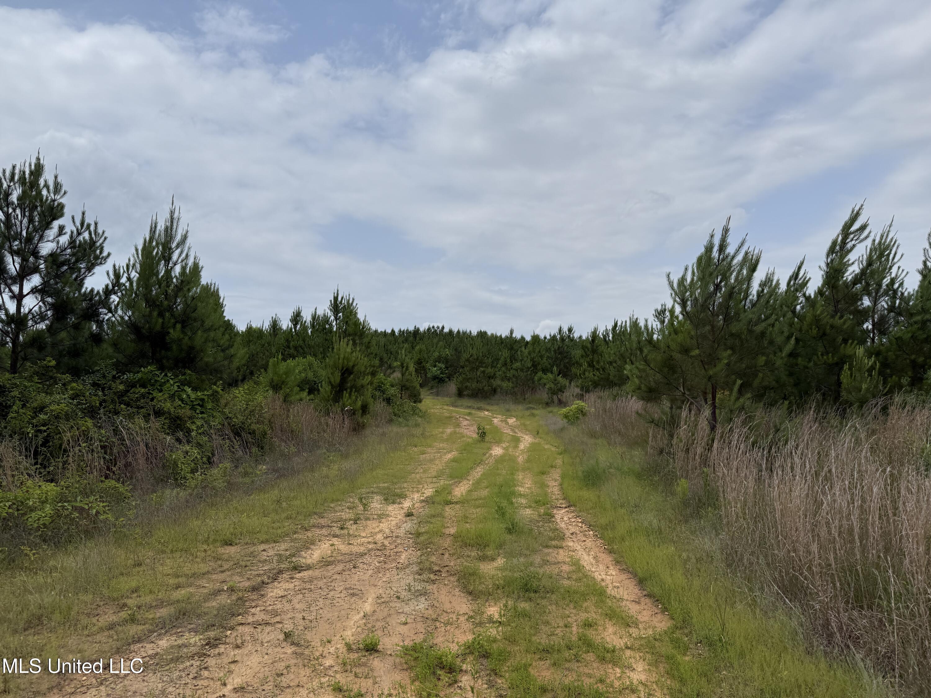 Alice Williams Road Gore Springs, MS 38929 - Photo 5 of 11 Photo May 20 2025, 12 46 54 PM