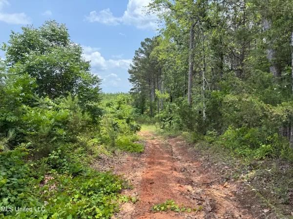 $243,726 | Alice Williams Road, Gore Springs, MS 38929