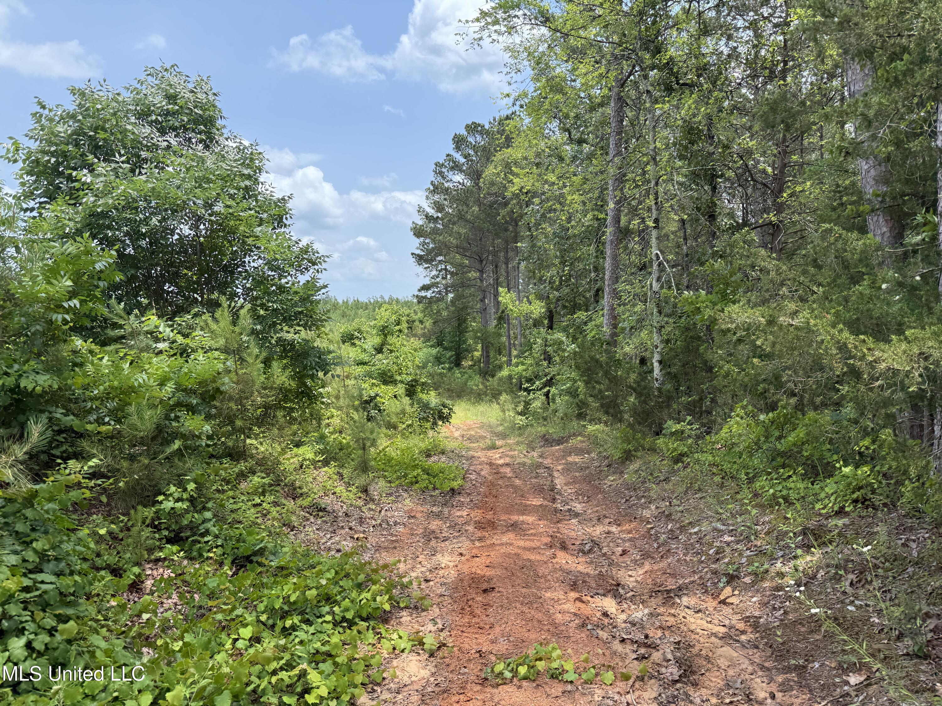 Alice Williams Road Gore Springs, MS 38929 - Photo 6 of 11 Photo May 20 2025, 12 50 44 PM