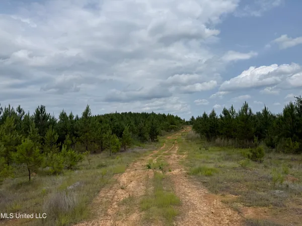 $243,726 | Alice Williams Road, Gore Springs, MS 38929