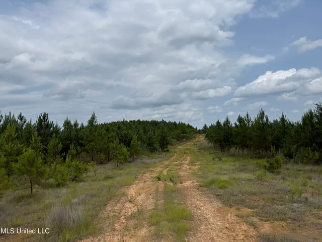 $212,850 | Alice Williams Road, Gore Springs, MS 38929