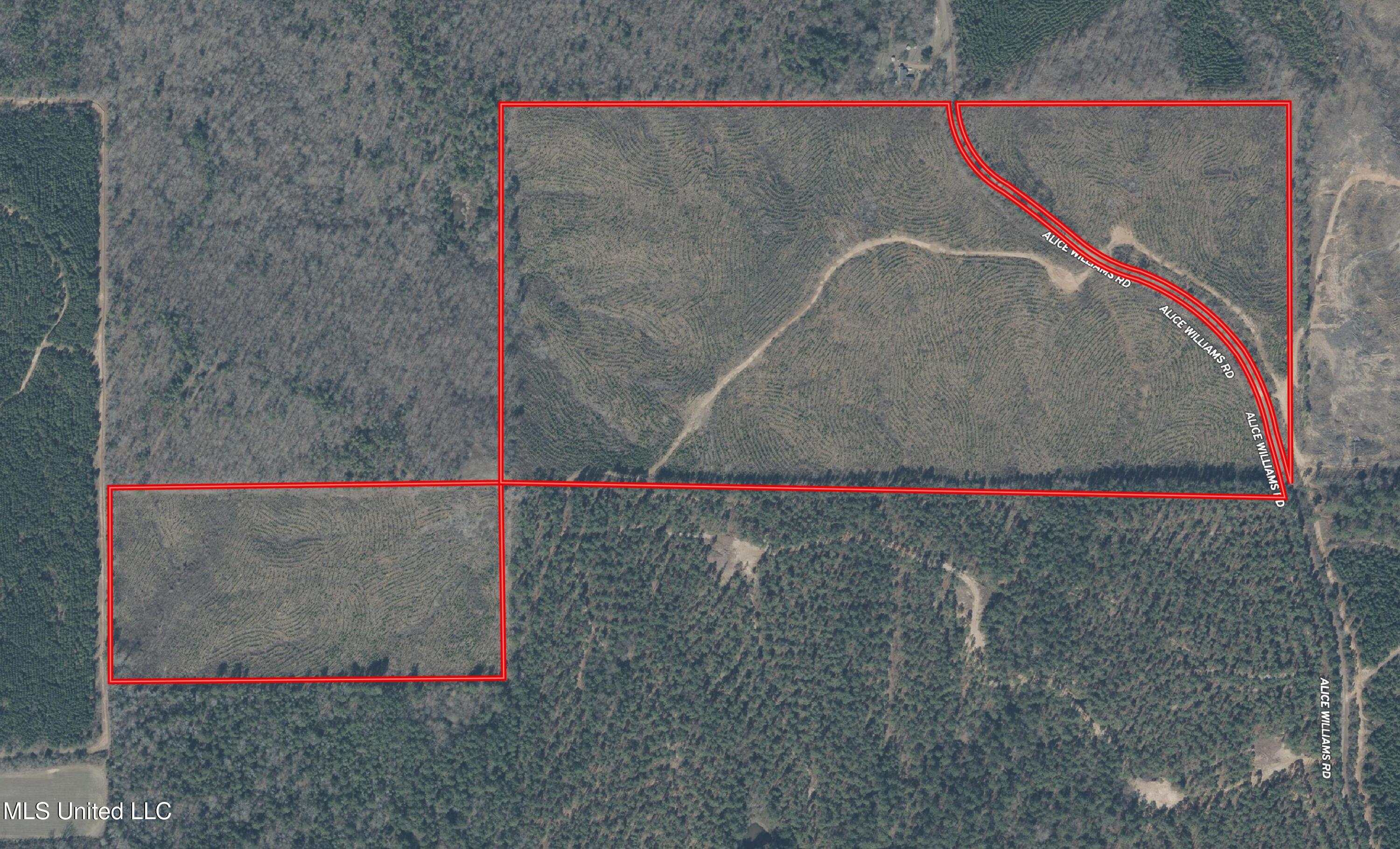 Alice Williams Road Gore Springs, MS 38929 - Photo 8 of 11 Aerial