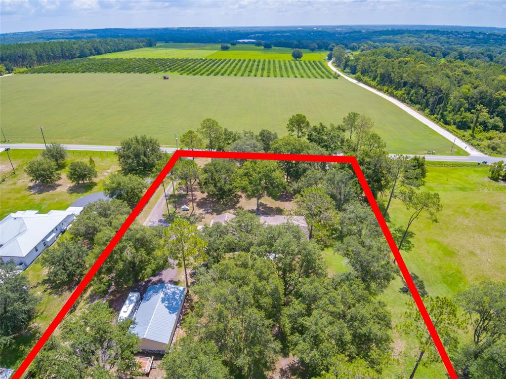 13805 Curley Road Dade City, FL 33525 - Photo 1 of 1 Welcome to the country!