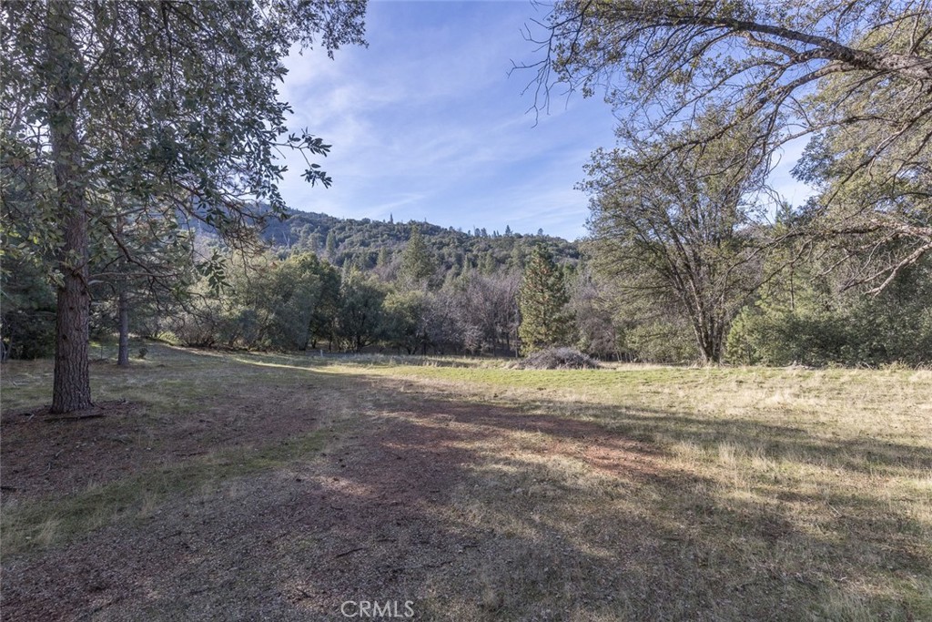 0 Nutter Ranch Road Ahwahnee, CA 93601 - Photo 1 of 21
