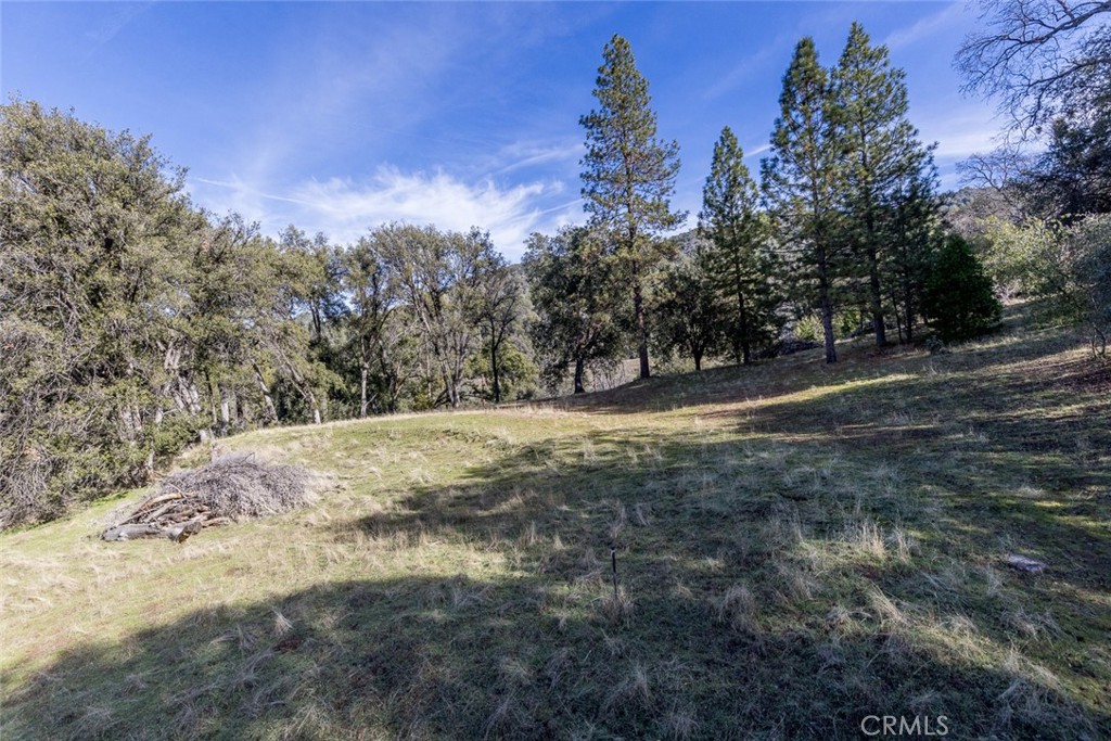 0 Nutter Ranch Road Ahwahnee, CA 93601 - Photo 3 of 21