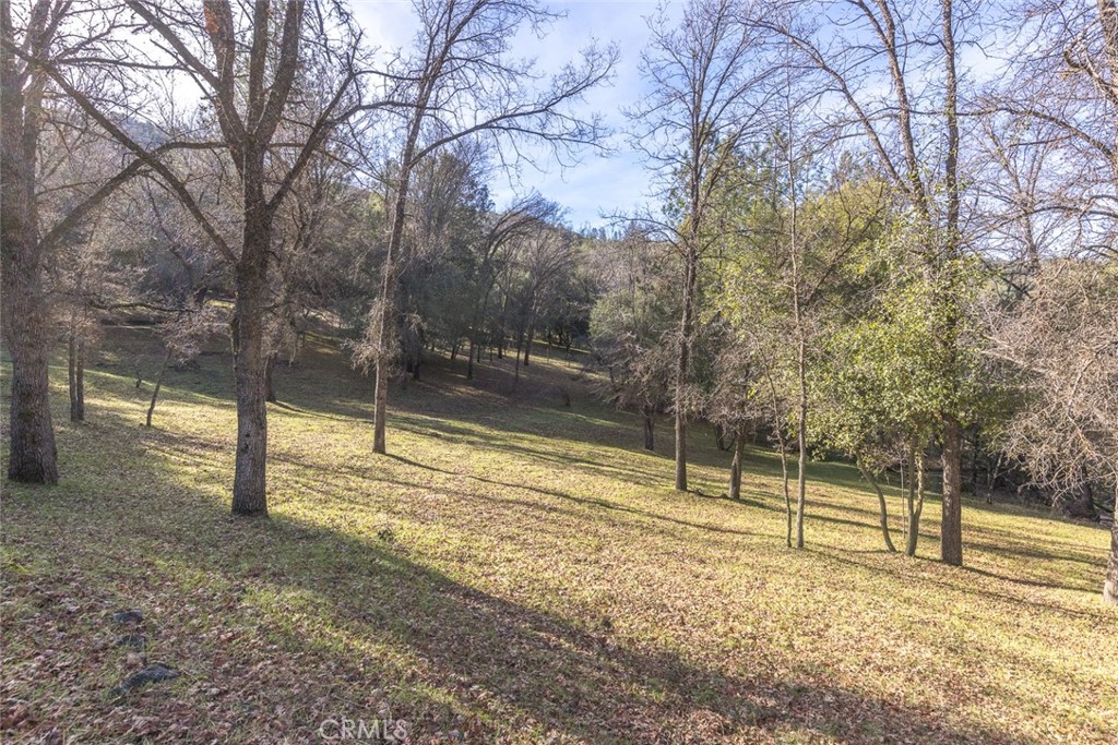 0 Nutter Ranch Road Ahwahnee, CA 93601 - Photo 5 of 21