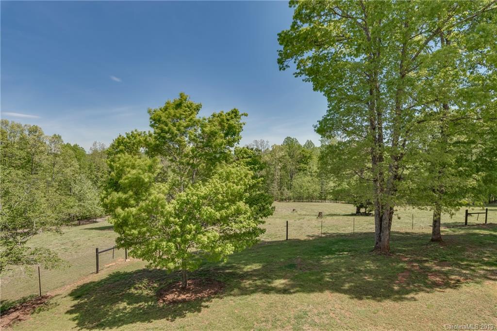 433 Meadow Crest Road Tryon, NC 28782 - Photo 6 of 29 a picture of trees