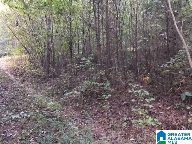 5577 Red Hollow Road, Unit 5 Birmingham, AL 35215 - Photo 2 of 12