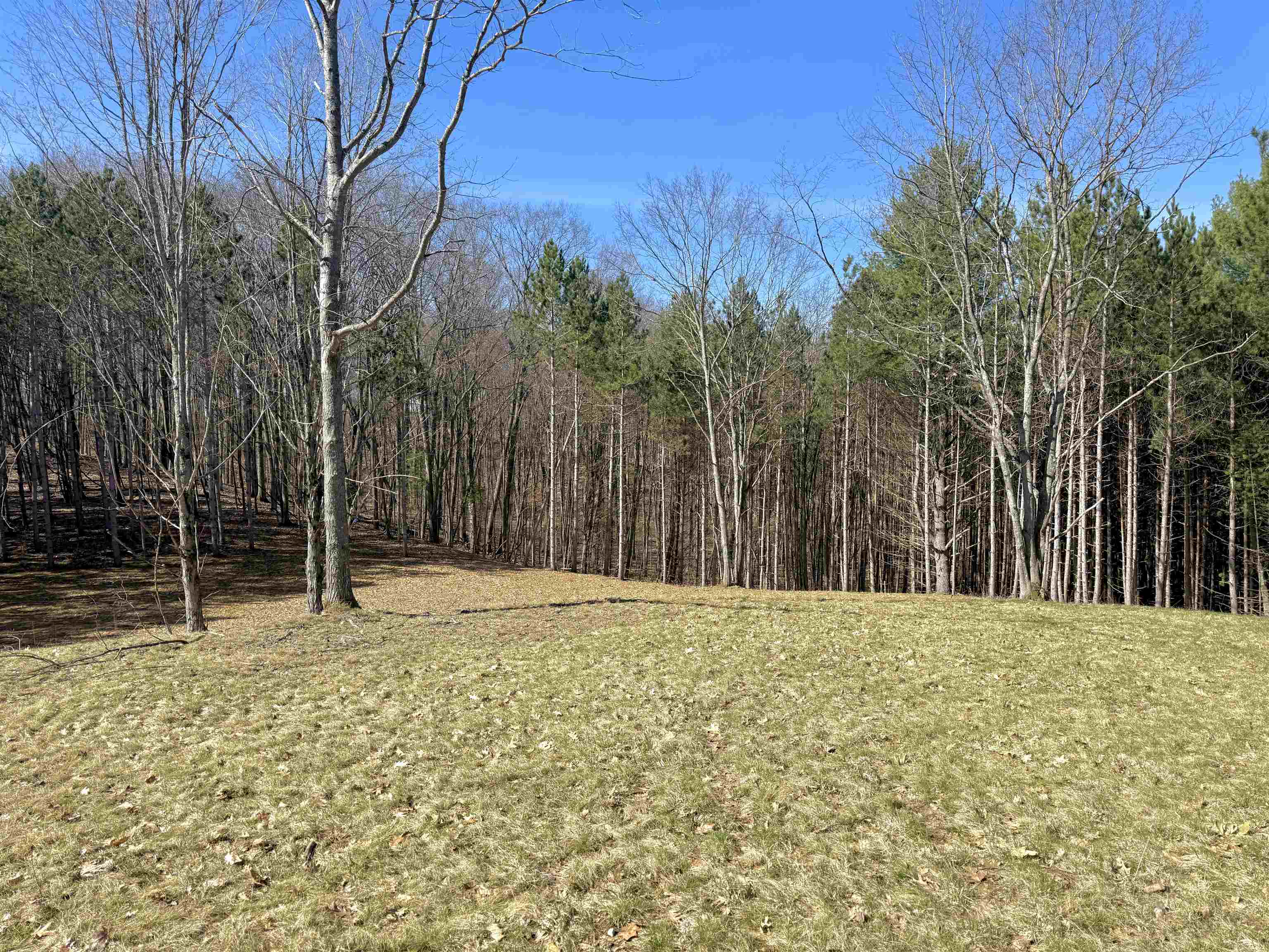 3041 Dockery Road East, Unit LOT: 2 Williamsburg, MI 49690 - Photo 6 of 18