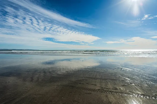 a view of a house with a yard and many windows
