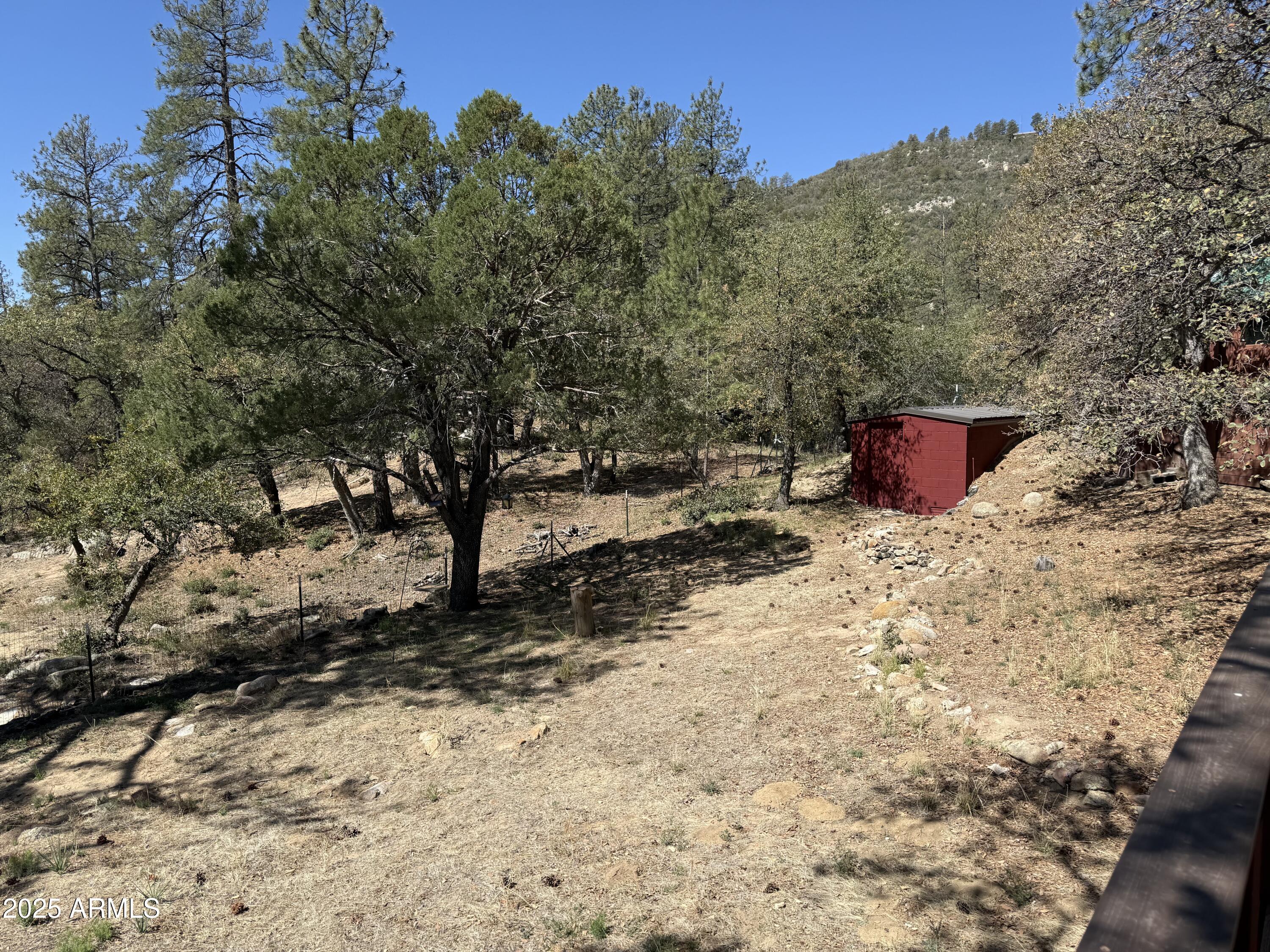 6937 Torpedo Road Crown King, AZ 86343 - Photo 17 of 23 a view of a yard with a tree