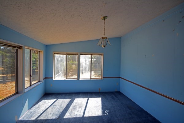 8330 178th Avenue Southwest Rochester, WA 98579 - Photo 4 of 13