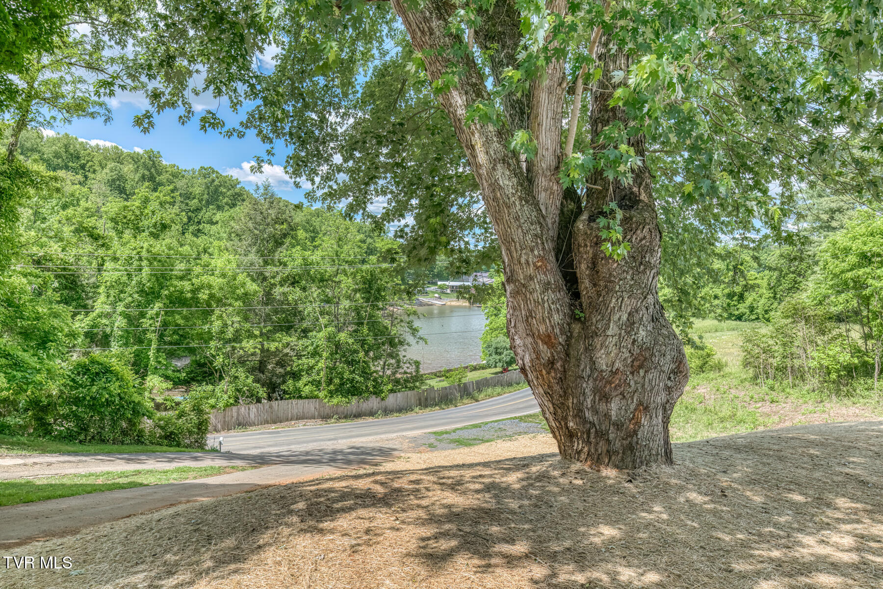 545 J A Hodge Road Piney Flats, TN 37686 - Photo 6 of 43 545 J A Hodge Rd-8