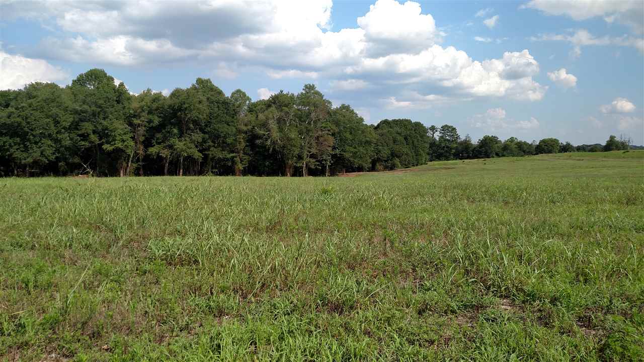 0 Midway Road, Unit 12 4 ACRES Belton, SC 29627 - Photo 11 of 16