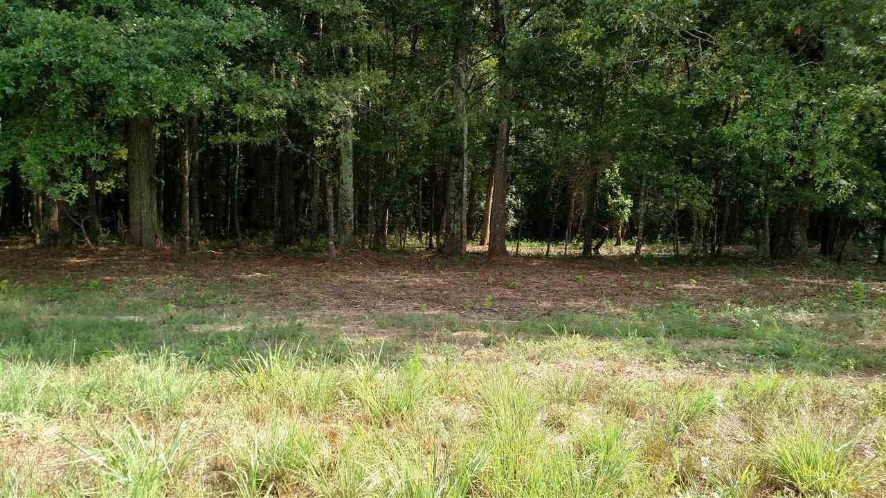 0 Midway Road, Unit 12 4 ACRES Belton, SC 29627 - Photo 2 of 16