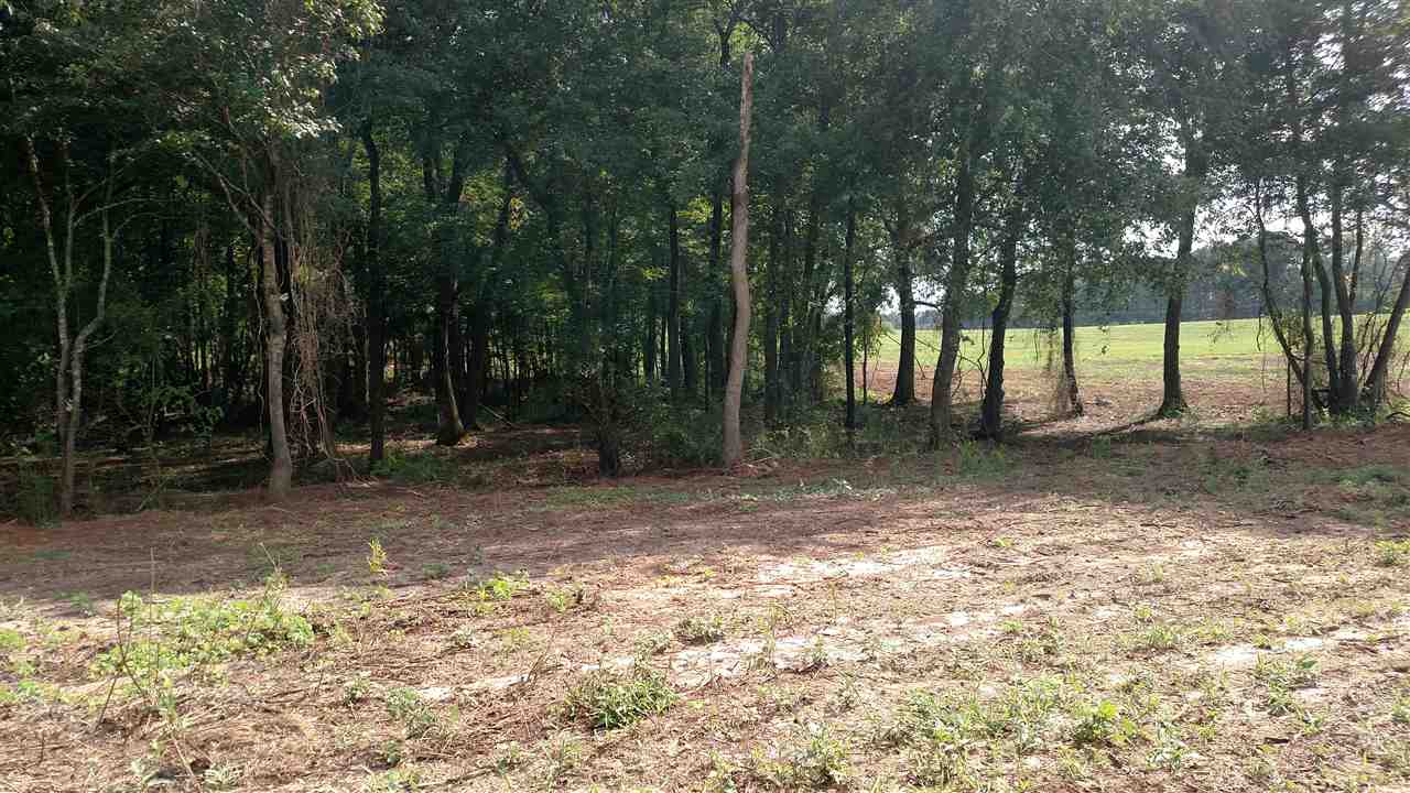 0 Midway Road, Unit 12 4 ACRES Belton, SC 29627 - Photo 6 of 16