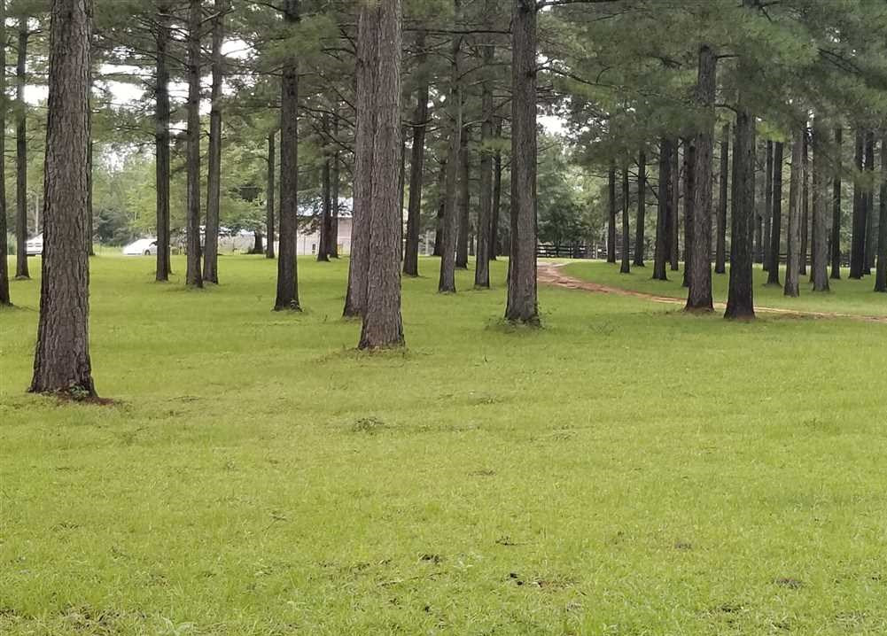 3057 Primitive Drive Southeast Ruth, MS 39662 - Photo 7 of 12 Photo 7