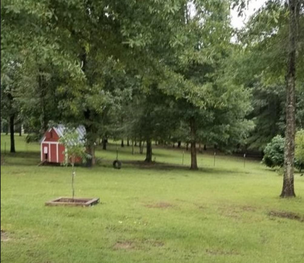 3057 Primitive Drive Southeast Ruth, MS 39662 - Photo 8 of 12 Photo 8