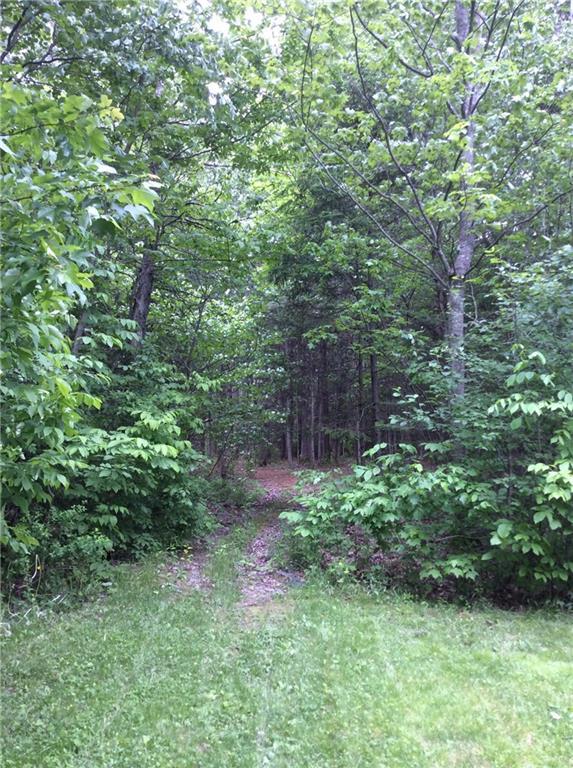 2250 Dexter Road Dover-Foxcroft, ME 04426 - Photo 20 of 20 to the walking trails from the backyard