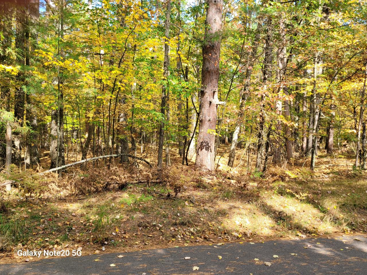 Lot #90 Eagle Pines Road Eagle River, WI 54521 - Photo 6 of 20 Gallery Image 6