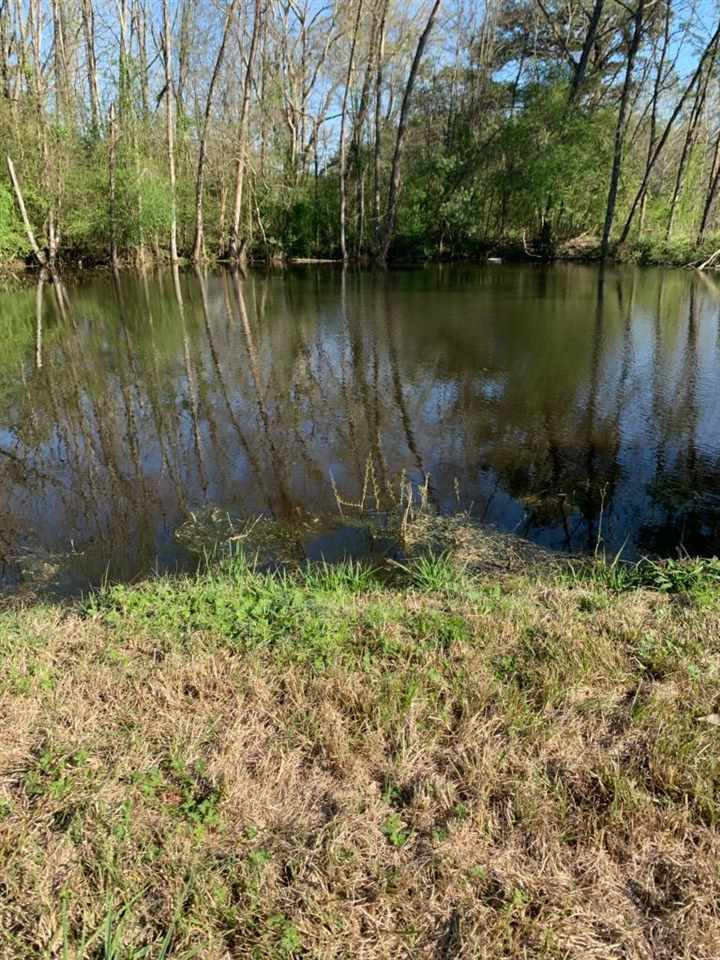 21987 Highway 18 Raleigh, MS 39153 - Photo 11 of 13 Photo 11