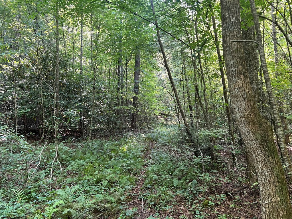 75 R J Mountain View Drive Murphy, NC 28906 - Photo 5 of 6 Gallery Image 5