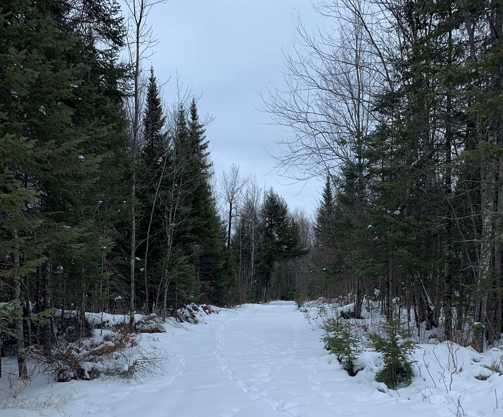 0 Other Butternut, WI 54514 - Photo 19 of 21