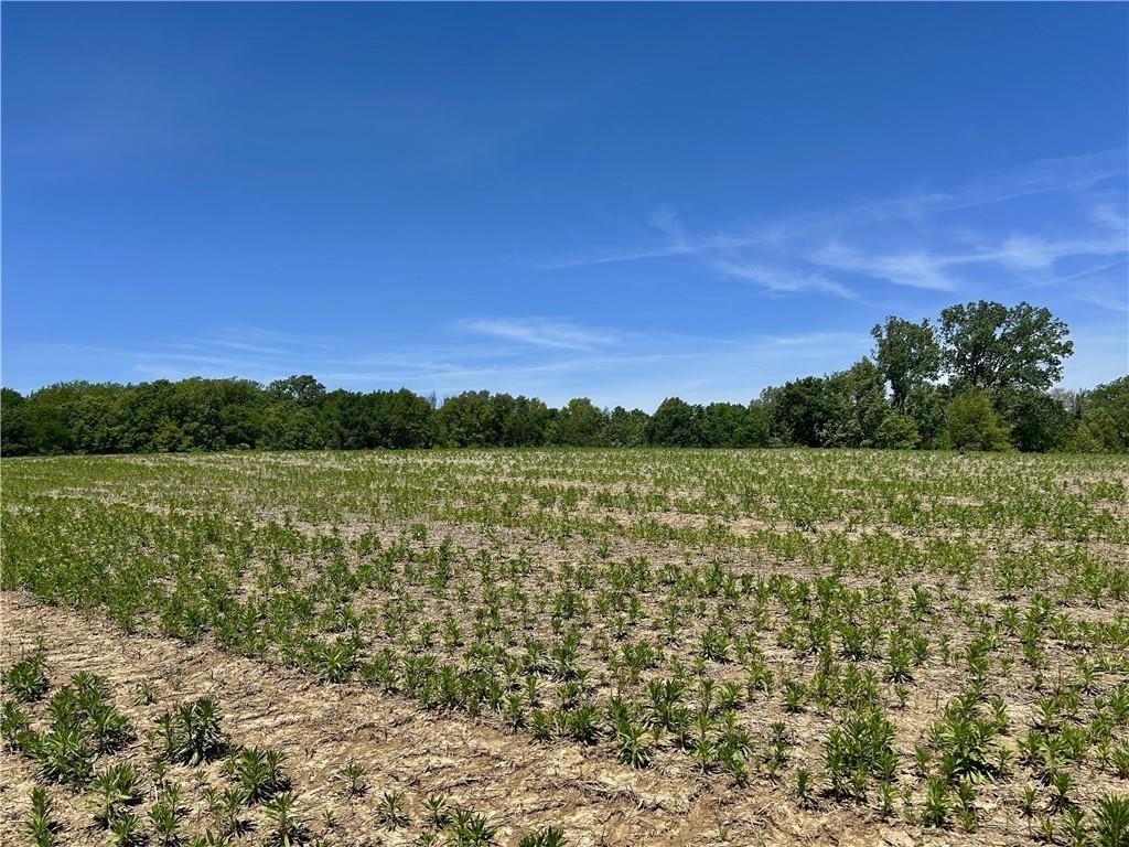 East Colbern Road Lone Jack, MO 64070 - Photo 2 of 13